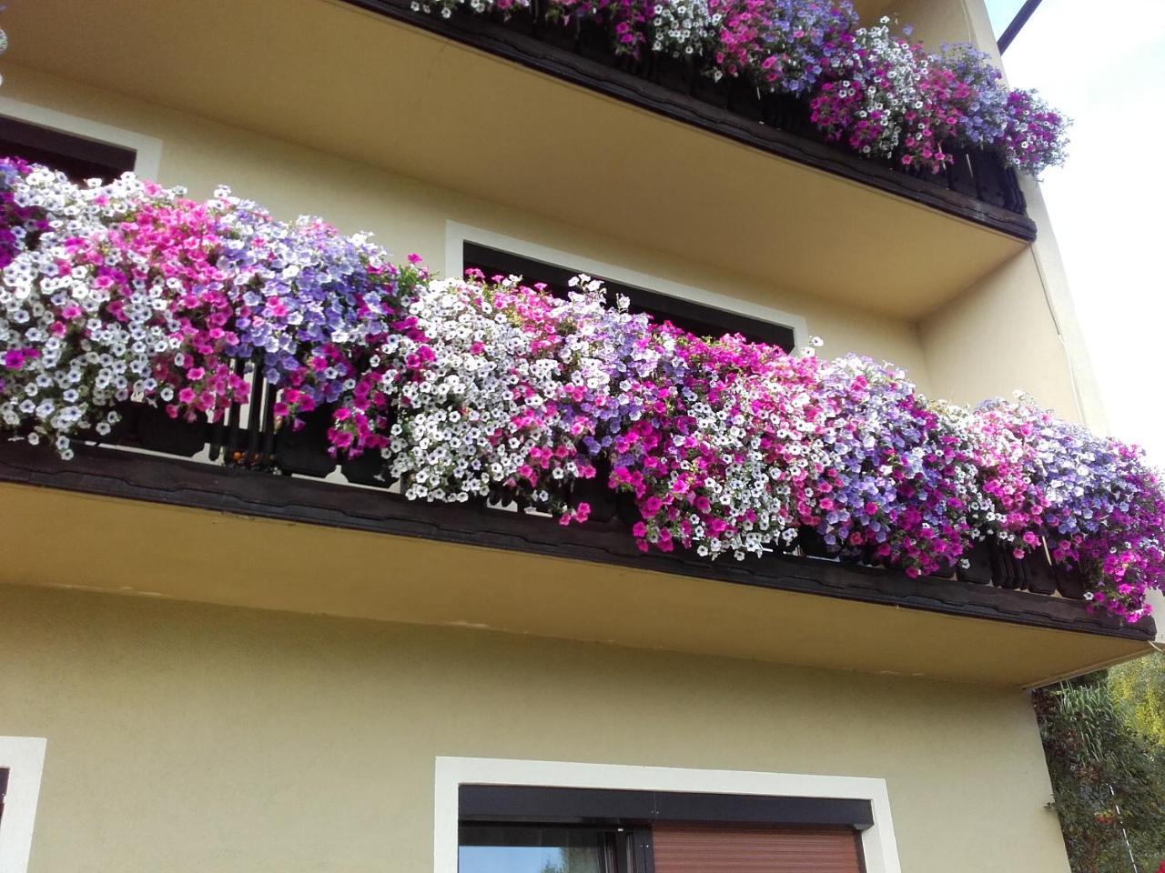 דרובולאך אם פאקרסי Appartement - Ferienwohnungen - Gaestehaus Gabriele מראה חיצוני תמונה